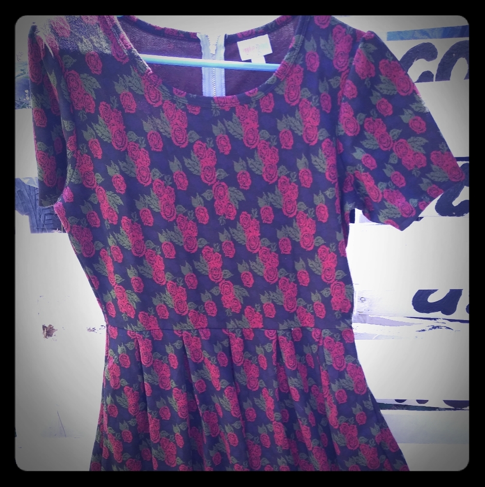 LuLa Roe Dress